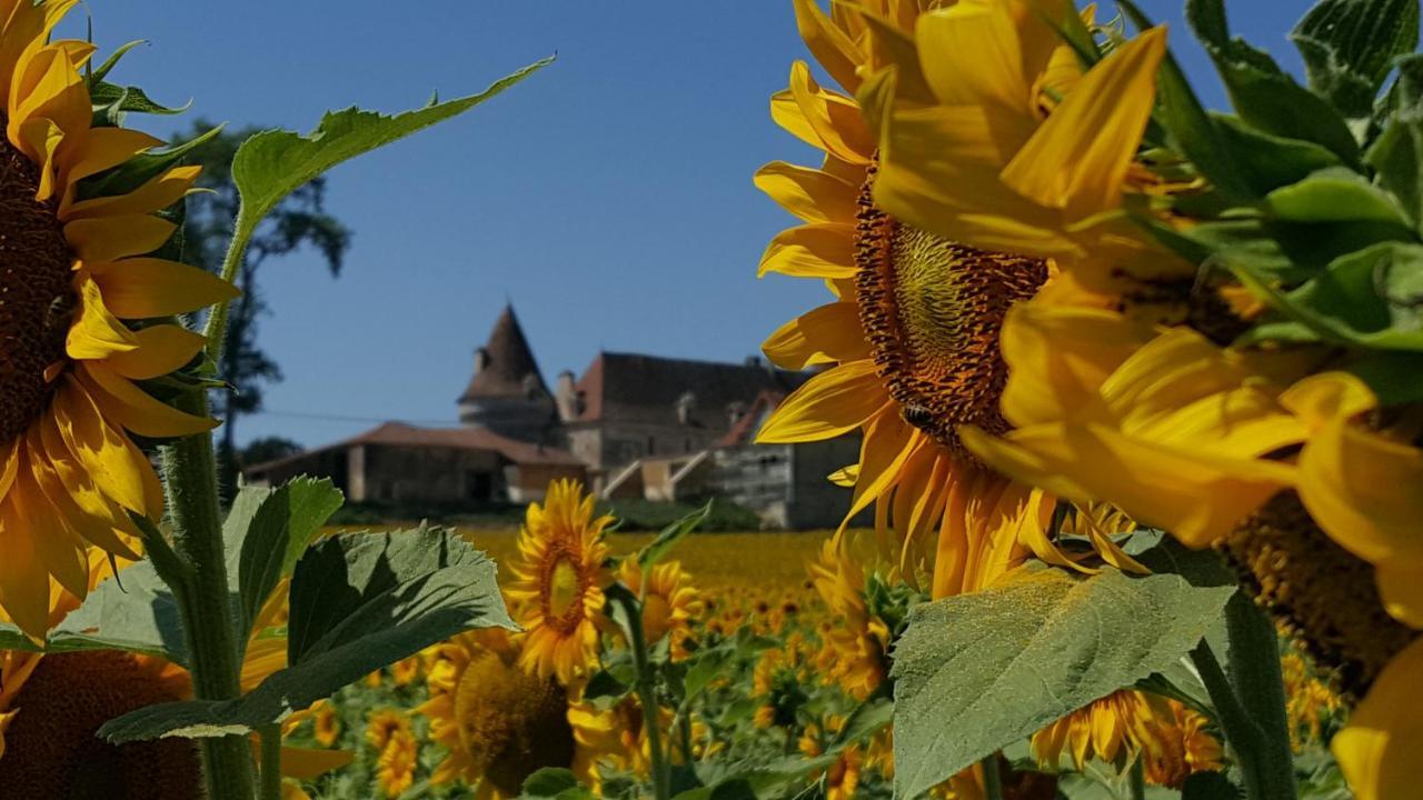 Lpc Dordogne Holidays - Le Petit Coin Lussas-et-Nontronneau Kültér fotó