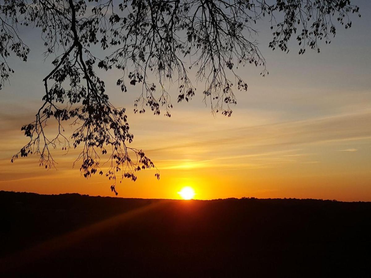 Lpc Dordogne Holidays - Le Petit Coin Lussas-et-Nontronneau Kültér fotó